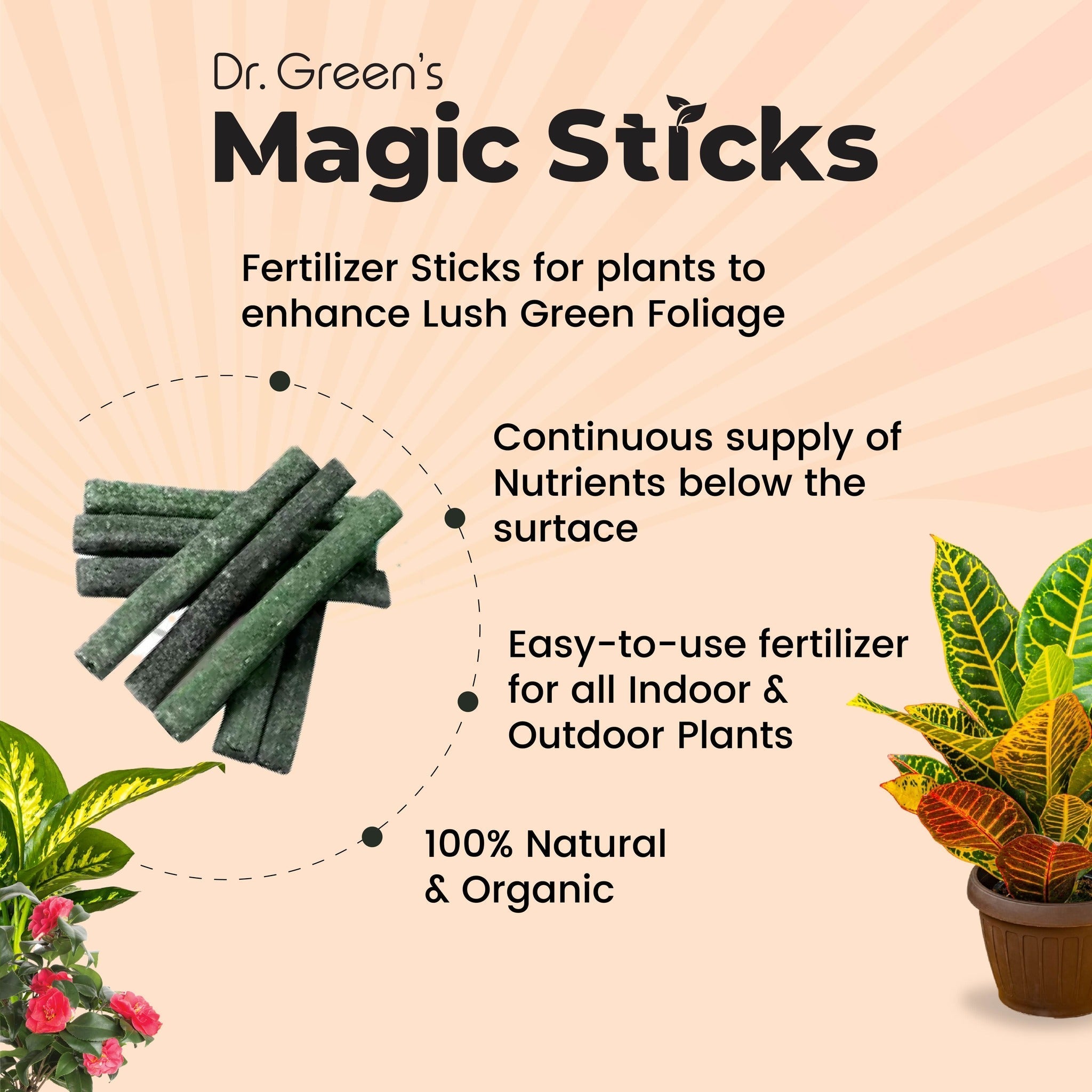 Dr.Green's - Magic Plant Sticks