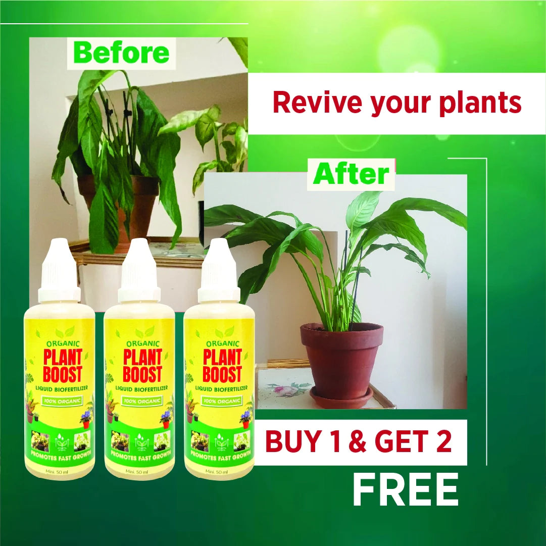 Organic Plant Boost Biofertilizer | For All Plant Types | 100% Organic | BUY 1 GET 2 FREE